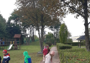 Dzieci szukają kasztanów