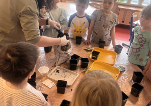 Dzieci napełniają wraz z Panią doniczki ziemią.