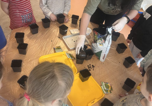 Dzieci czekają na napełnienie doniczek ziemią .