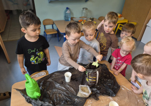 chłopiec napełnia kubek ziemią