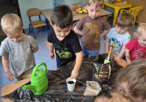 chłopiec wsypuje nasionka do kubeczka