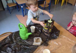 chłopiec wsypuje ziemię do kubeczka