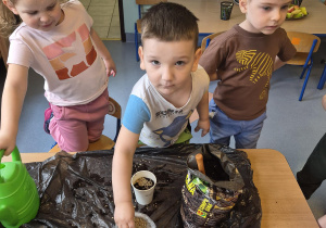 chłopiec bierze nasionka do wysiania