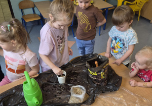 dziewczynka wsypuje nasionka