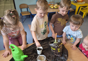 chłopiec wsypuje nasionka do kubeczka