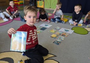 zabawa w segregowanie obrazków