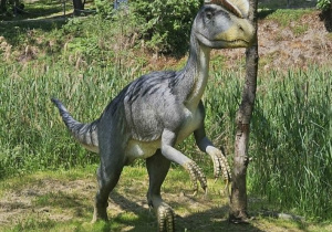 Na zdjęciu kolejny dinozaur na ścieżce.