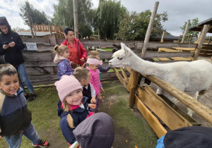 przebywanie wśród zwierząt