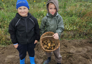 Dwóch chłopców trzyma kosz z ziemniakami.