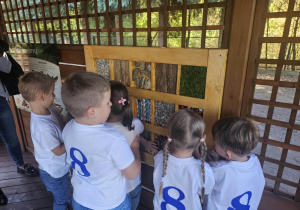 Chłopcy i dziewczynki oglądają tablicę sensoryczną.