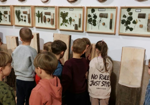 Chłopcy i dziewczynki oglądają przekroje drzew.
