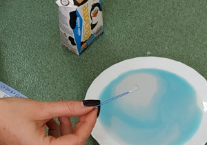 eksperyment z zabarwionym mlekiem i płynem do naczyń
