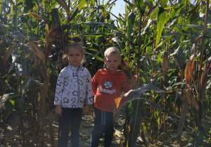 Dzieci w kukurydzy.