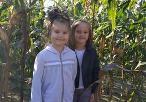 Dzieci w kukurydzy.