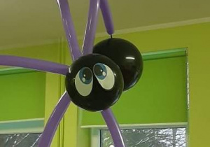 Balonowy pająk Lucjan.