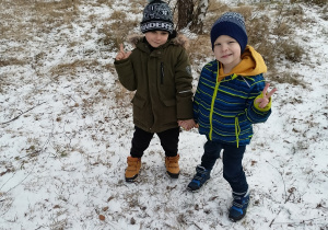 Chłopcy w zimowej scenerii.