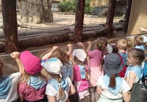 Dzieci oglądają słonie w orientarium.