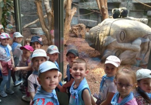 Dzieci oglądają makaki.