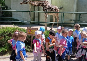 Dzieci podziwiają żyrafy.