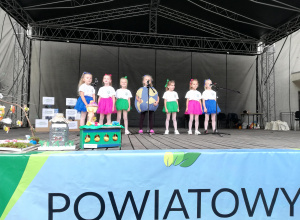 Powiatowy Eko-Piknik