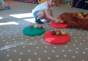 chłopiec segreguje jabłka