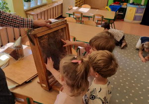 Dzieci oglądają pszczoły w ulu