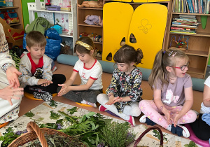 Dzieci pocierają zioła w rękach w celu wydobycia zapachu.
