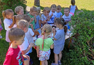 dzieci w trakcje pikniku
