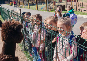 Dzieci oglądają zwierzęta w zoo