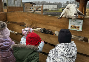 Dzieci karmią zwierzęta marchewką