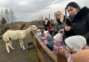 Panie i dzieci karmią zwierzęta