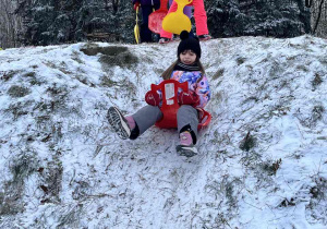 Dziewczynka zjężdza z górki na ślizgu.