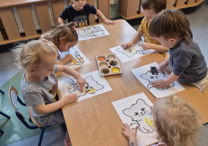 malowanie kotów farbami