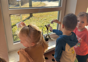 Dzieci rozpoznają dinozaury ukryte w jajkach